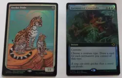 MTG Ocelet Pride Store Championship Lorwyn Eclipsed Promo + Bonus Card - Image 3