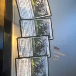 Kinsbaile Cavalier Morningtide Regular - Image 1