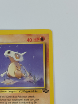 Pokemon Card 1st Edition Cubone 50/64 Jungle Regular US - Image 3
