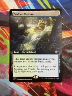 MTG - Sodden Verdure (Extended Art Regular) - Lorwyn Eclipsed 0044 - Image 1