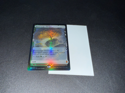 1 x Razorverge Thicket - Foil Light Play MTG Magic - Zendikar Rising - Image 1