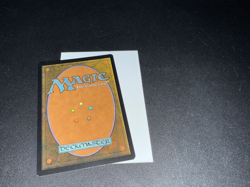 1 x Razorverge Thicket - Foil Light Play MTG Magic - Zendikar Rising - Image 2