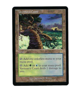 Yavimaya Coast - Apocalypse - Magic The Gathering NM/M (Never Played) - Image 1