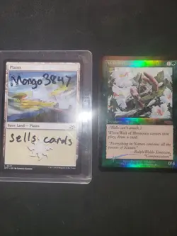 MTG Wall of Blossoms FNM FOIL DCI Promo - Image 3