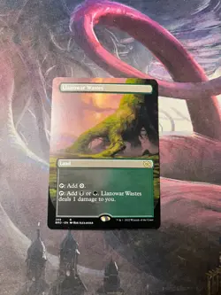 Llanowar Wastes - Non Foil -Borderless - The Brothers' War - Magic the Gathering - Image 1