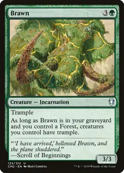 1x Brawn NM Eng MTG - Commander Anthology 2 - Image 1