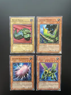 Yugioh Petit Moth + Larvae Moth + Cacoon Of Evolution + Great Moth DB1/MRD MP/HP - Image 1