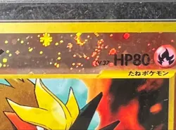 ARS 10 2000 Entei Neo 2 Premium File Promo Pokemon Card Japanese Vintage Rare - Image 4