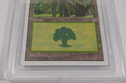 BGS 9 QUAD++ Forest 180 MTG Graded MINT Common Portal Three Kingdoms P3K NM - Image 4