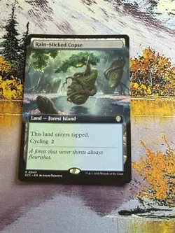 Rain-slicked Copse Mtg Land Lorwyn Eclipsed R 0043 - Image 3