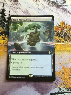 Rain-slicked Copse Mtg Land Lorwyn Eclipsed R 0043 - Image 5