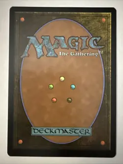 Plains (045) - Jumpstart (JMP) Dog Plains Magic the Gathering MTG NM - Image 2