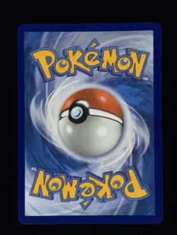 Shuckle 136/132 Pokemon ME01: Mega Evolution NM 🔥 - Image 2