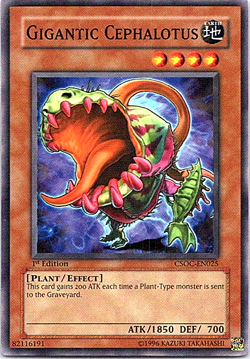 Gigantic Cephalotus CSOC-EN025 Yu-Gi-Oh! Light Play 1st Edition - Image 1