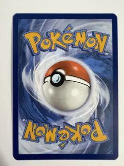 Kieran - 206/167 - Twilight Masquerade Full Art Trainer - Near Mint - Pokemon - Image 2