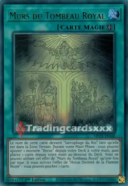Yu-Gi-Oh! Murs du Tombeau Royal : UR MP25-FR168 - Image 1