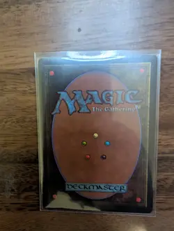 Shallow Grave Mirage Regular - Image 2