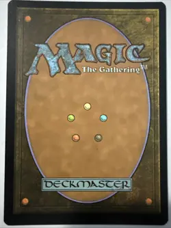 Forest (301) - JP Full Art Kamigawa: Neon Dynasty Foil - Image 2