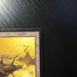Swamp(Yellow Sun) Regular MTG Portal LP - Image 3
