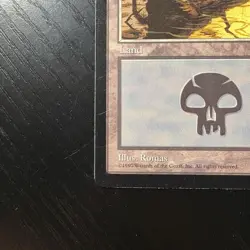 Swamp(Yellow Sun) Regular MTG Portal LP - Image 4