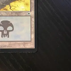 Swamp(Yellow Sun) Regular MTG Portal LP - Image 5