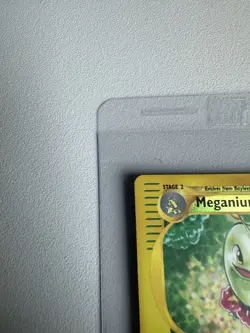Meganium 54/165 Rare Reverse Holo Expedition WOTC Vintage Pokemon - Image 4