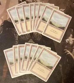 *** REVISED Plains Trees x15 *** LP-MP - DUTY FREE - MtG Magic - Image 1