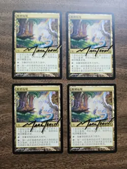 Playset (4x) Primal Beyond [Shadow Signed By Artist Mark Tedin] (MOR) Chinese - Image 1