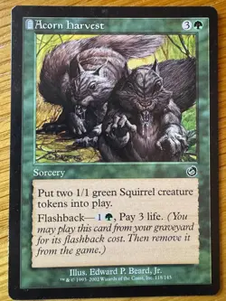 Magic The Gathering ACORN HARVEST Sorcery Edward Beard Jr MTG - Image 1