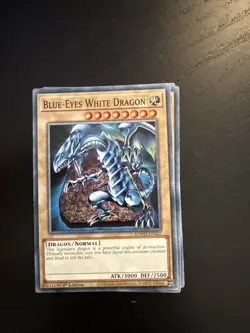 Blue-Eyes White Dragon Set! Yugioh EN Blue Eyes White Set NM 1st. Ed SDWD - Image 2