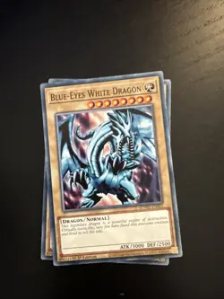 Blue-Eyes White Dragon Set! Yugioh EN Blue Eyes White Set NM 1st. Ed SDWD - Image 3