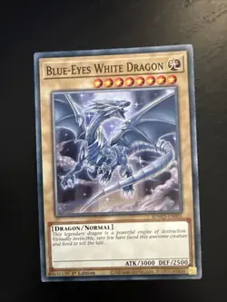 Blue-Eyes White Dragon Set! Yugioh EN Blue Eyes White Set NM 1st. Ed SDWD - Image 4