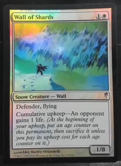Wall of Shards FOIL 23/155 Coldsnap NM8 - Image 1