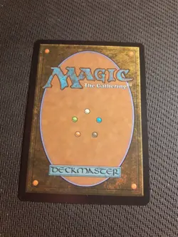 Forest - 0892 - Foil - MTG - Secret Lair Drop Series - Image 2