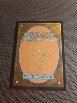 Plains - 0888 - Foil - MTG - Secret Lair Drop Series - Image 2