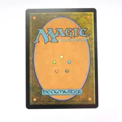 Scrying Sheets 1606 - MTG - Secret Lair Drop - NM - Image 2