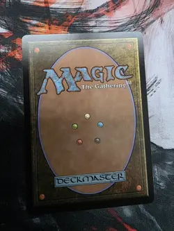 x1 Champion of the Path R MTG Lorwyn Eclipsed M/NM, English - Image 2