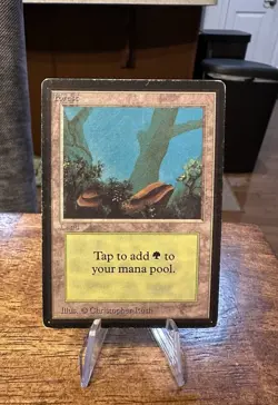 MTG Beta - Forest (MP) - Image 1
