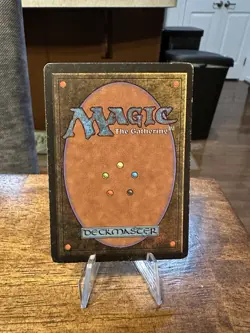 MTG Beta - Forest (MP) - Image 2