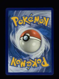 Charizard GX SM211 Pokemon SM Promos NM 🔥 - Image 2