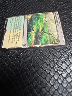 1x Windswept Heath Khans Tarkir NM x1 Mtg Magic the Gathering Changie - Image 2