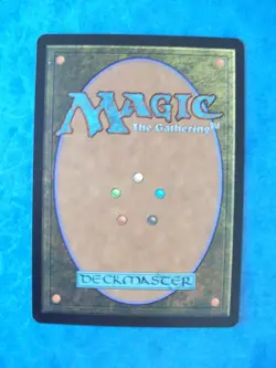 MTG Magic the Gathering MARSH FLATS ZENDIKAR LP (b) ACTUAL PICTURES - Image 2