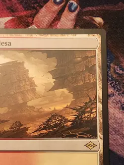 MTG Modern Horizons 2 - Arid Mesa NM Fetch Land - Image 4