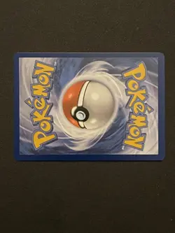 Pokemon Squirtle Holo Illustration TCG Card Stellar Crown 148/142 NM Condition - Image 5