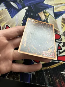 (STO) Yu-Gi-Oh! TCG Amazoness Chain Master Preview Series 1 SP1-EN002 LP - Image 4
