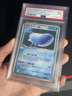 PSA 9 MINT: Wailord Ex 021/053 Miracle Of The Desert Unlimited - Pokemon Card - Image 1