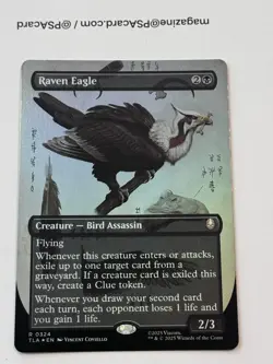 Raven Eagle (Borderless) #324 (Foil) (NM) TLA Magic MTG - Image 1