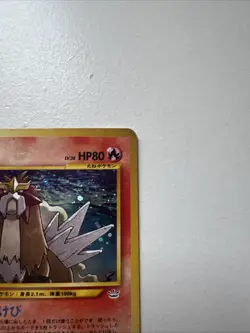 Entei Pokemon Card Japanese No.244 Neo 3 Revelation 2000 Vintage Holo - Image 4