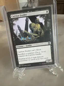 Carrion Feeder - Eternal Masters (EMA) Magic The Gathering - Image 2