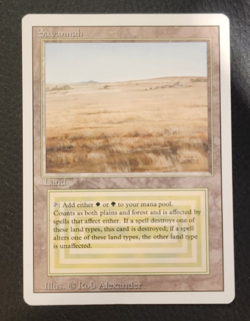 MTG Savannah - LP/SP - Magic the Gathering Revised - Image 1